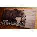Large BROWN BEAR & CUB Wood Framed Canvas Lodge Log Cabin Home Decor Print NEW   292682215569